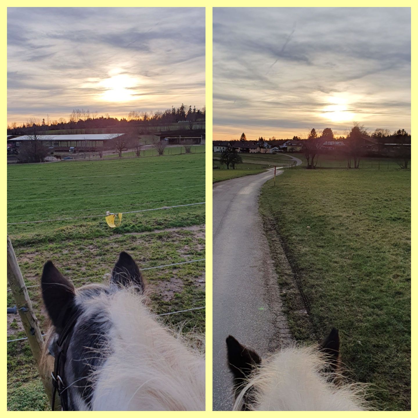 2023 12 Dezember 665